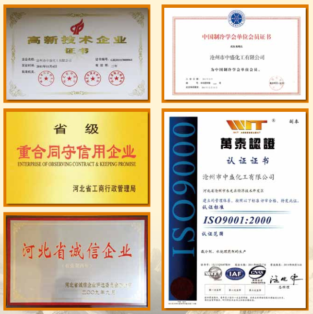 沧州中盛载冷科技有限公司